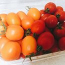 은상농장 이미지