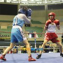 안동복싱체육관 이미지