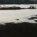 덕소민박 이미지