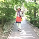 좋은아침~콩나물국 끓입니다 ㅎㅎ 이미지