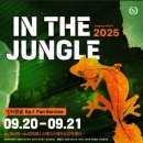 인더정글 IN THE JUNGLE