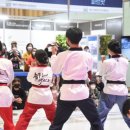 늘푸른태권도 이미지