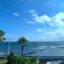 탐라커텐 이미지