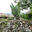 뿌리민박 이미지