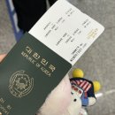 사우디 제다를 언제 또 가보겠냐며.. 쿠나파 먹으러 또 가고 싶어진 냠냠출장기 (+ Fix 두바이 초콜릿...