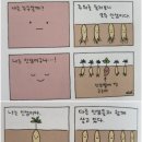 인삼 밭에서 자란 행복한 고구마.manwha 이미지