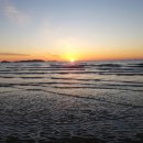 그녀의 바다 이미지