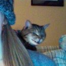 착한 고양이 이미지