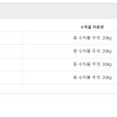 체크인 여행사 이미지