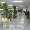 (주) 인슈라이프 /자동차보험 법인총괄 (10개사 비교견적 /문자발송 서비스) 이미지