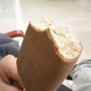 새론리빙