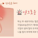 제제왁싱앤래쉬