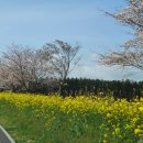 신효동-26 이미지