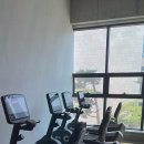 탭피트니스 이미지