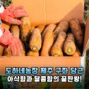 대지농장 | 도하네농장 제주 구좌 당근, 설탕보다 달콤한 대지의 에너지를 식탁으로