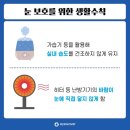 아이세이버안경양동점