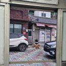 울릉도 천부 겐스빌 치킨 후라이드 (with 간장마늘소스)
