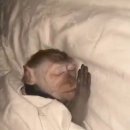 노바PC방 | 한jennie 기원 1일차