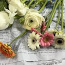 중앙플라워(생화) 이미지