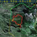 한라산둘레길 동백길 이미지