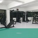 비디피트 이미지