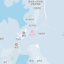 “20년간 대통령만 보던 풍경답네”… 11만 그루 단풍나무, 국화 축제까지 즐기는 호수 정원 이미지