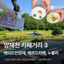 떼르드카페 | [양재] 양재천 카페거리 데이트 코스 3곳 | 메이드인양재 소금빵 + 떼르드카페 + 누볼라 젤라또 후기