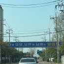조각레몬은 알게 되었다!