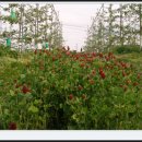 아름사과공원 이미지