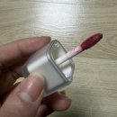각질 부각 없는 벨벳틴트 추천 무크 슈슈 201 데일리틴트 발색 후기