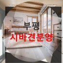 독립켄넬(소규모) | 부평 시바견분양 예산별 맞춤 가이드로 시행착오 없이 우리 아이 데려왔어요