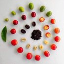 체리빈Coffee 네이버블로그