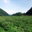 속담농장 이미지