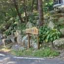 비슬산자연휴양림 | 대구 여행 숙소, 비슬산자연휴양림 (콘도2 금수방)