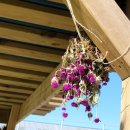 토산농장 이미지