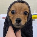 아우어패밀리 이미지