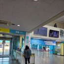 휠체어 타는 사람들 | 모슬포항에서 가파도 가는 배 타는법 총정리 (운진항 대합실, 배시간, 요금, 실제 후기) 가파도 여행기...