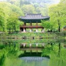 백양사 한우