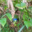 KT곡성지사 이미지