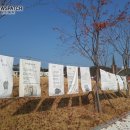 청춘역1979 이미지