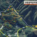 중미산자연휴양림 이미지