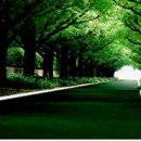 금강로16길 이미지