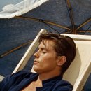 화신 세탁 | 영화 태양은 가득히 출연진 (+줄거리, 결말, 해석 총정리!!)