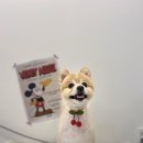 사랑옵개 이미지