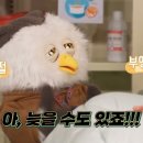 홀리몰리 이미지
