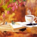 민주공인중개사사무소 이미지