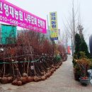 영재농원 이미지