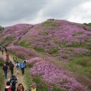 산덕리 소교량 2 | 지리산 (바래봉에서 팔랑치까지)