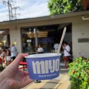 발리 짱구 가볼 만한 곳, 요거트 아이스크림 맛집 '미요(MIYO)'