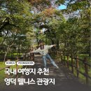 웰빙빌리지 | 국내 가을 여행지 추천 영덕 웰니스 관광지 도천숲 웰니스페스타 후기